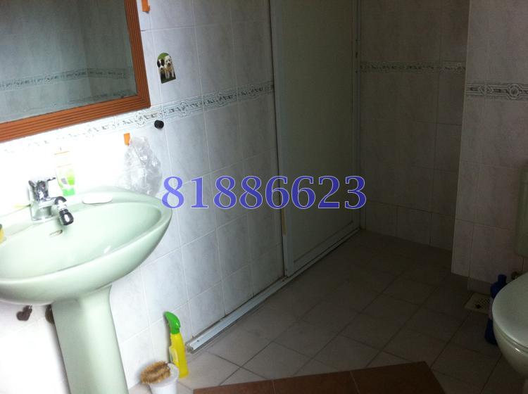Pacific Mansion (Enbloc) (D9), Apartment #85237252